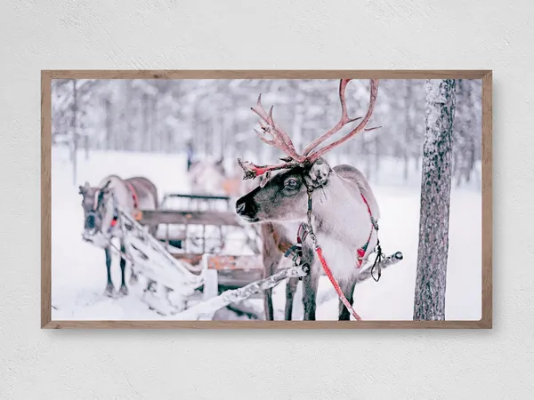 Reindeer Sleigh Christmas Snow Art Print