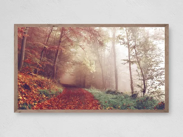 Fall Trail Art Print, Autumn Leaves