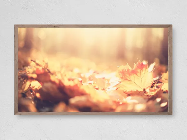 Fall Leaves - Frame TV Art