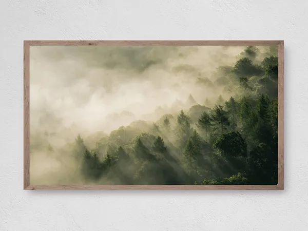Misty Forest Art Print