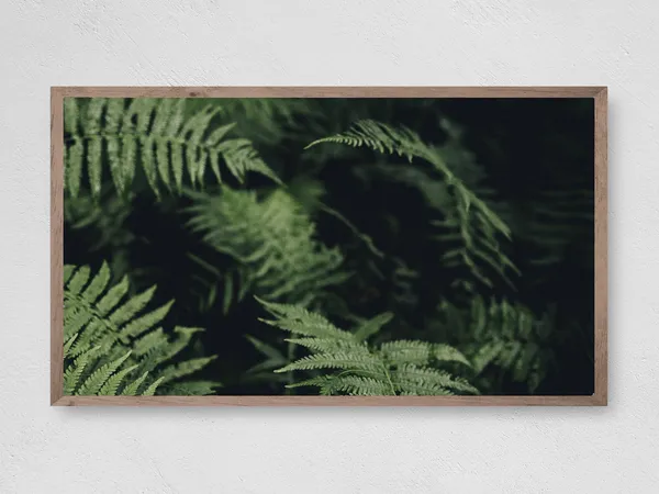 Dark Fern Art Print, Botanical Decor for TV Space