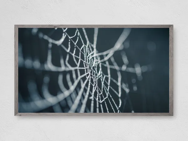 Spider Web Halloween Art Print