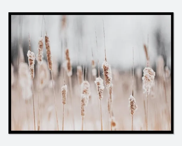 Reed Plant Botanical Art Print, Farmhouse Boho Decor
