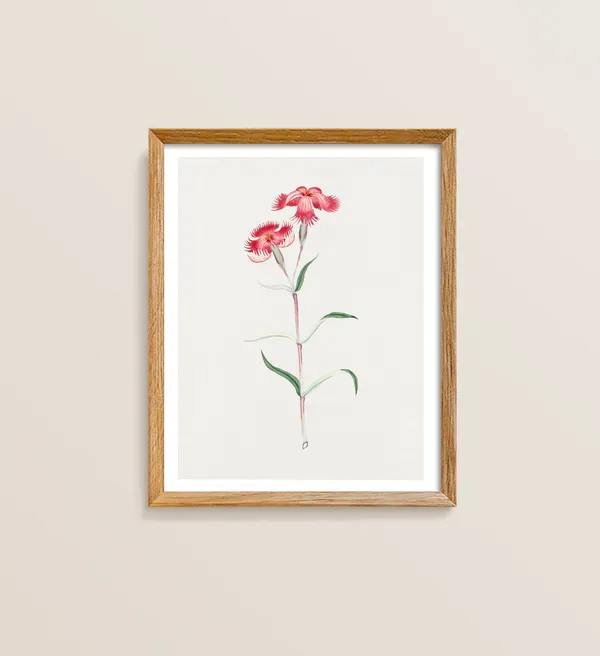 Japanese Flower Botanical Art Print, Japandi Style