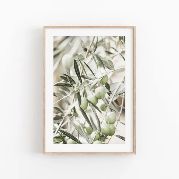 Olive Print Botanical Art Print, Farmhouse Style