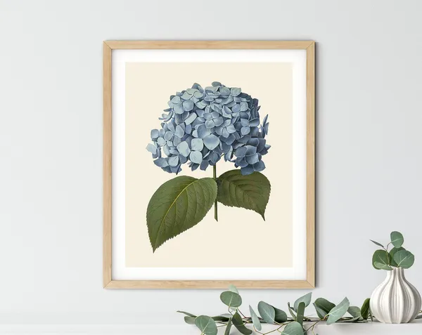 Vintage Hydrangea Print, Blue Botanical Kitchen Decor