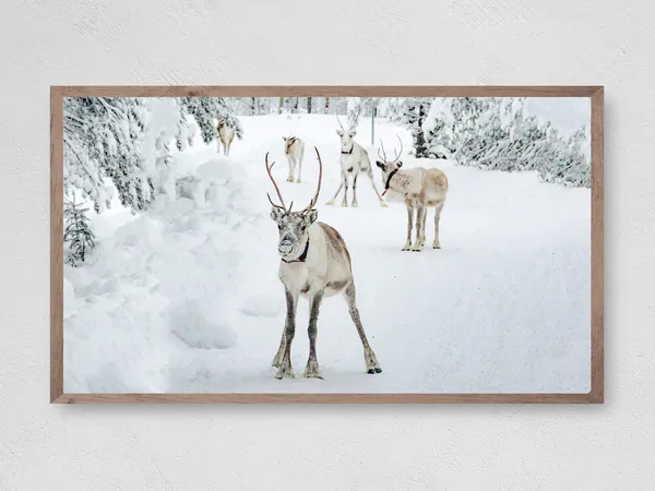 Silly Reindeer in the Snow Holiday Christmas Art Print