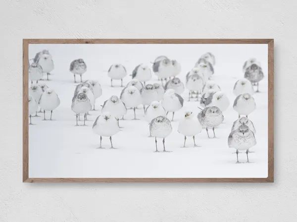 Snow Birds Christmas Art Print, Winter Holiday Decor