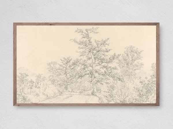 Vintage Tree Sketch Art Print, Nature Study
