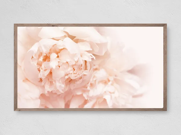 Pale Peony Art Print
