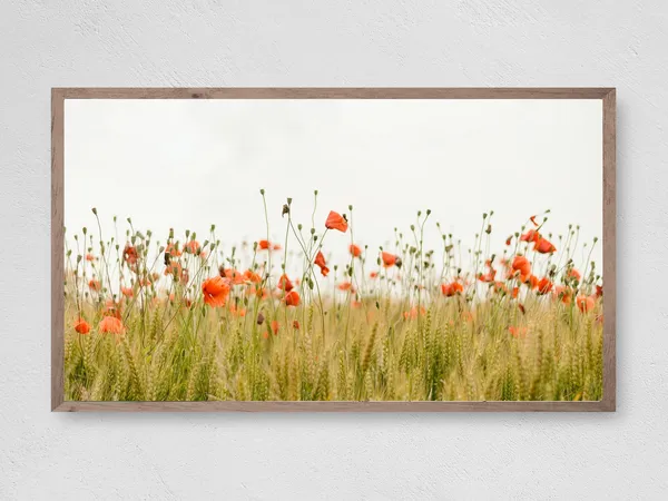 Poppy Field Art Print, Farmhouse Floral Decor