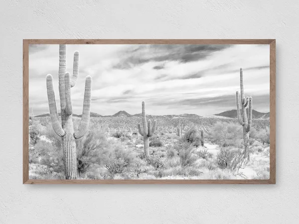 Cactus Field Art Print