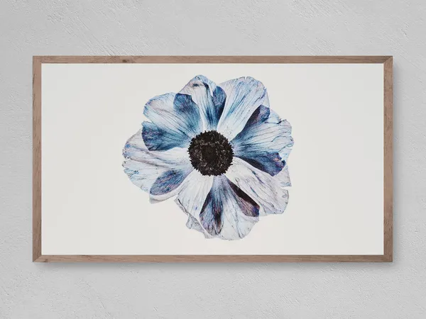 Single Flower Art Print
