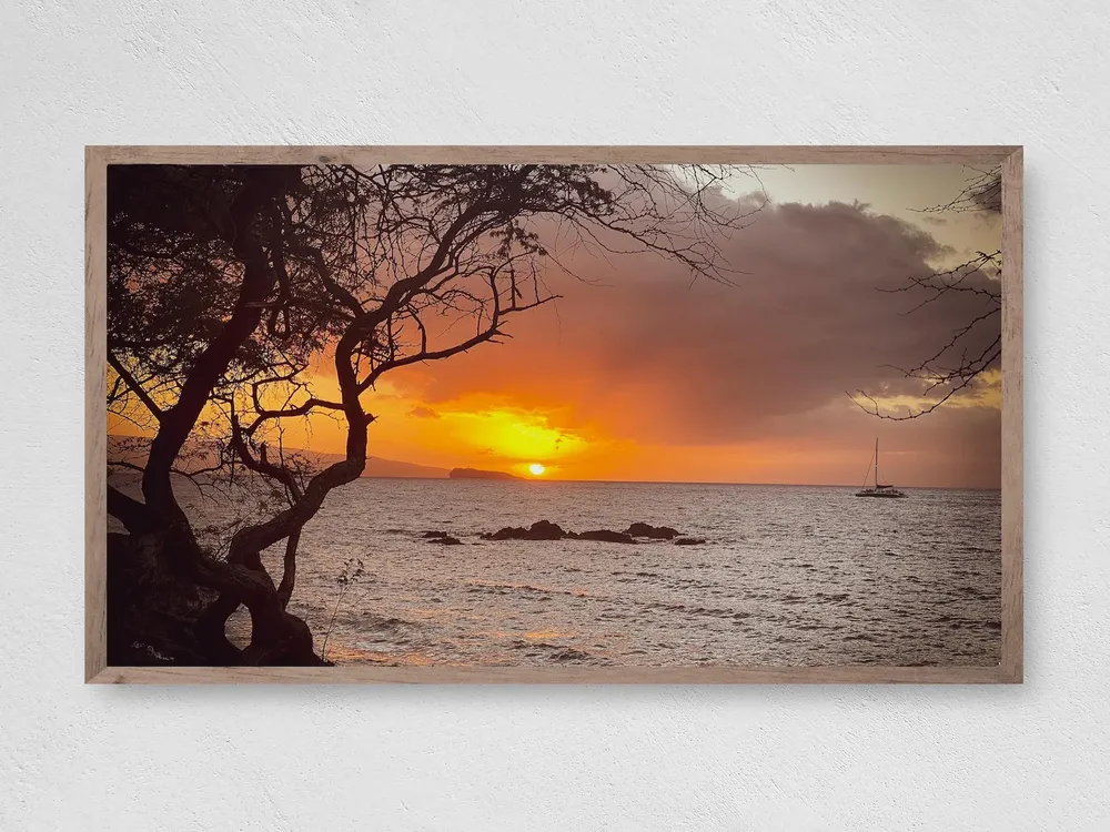 Ocean Sunset Art Print