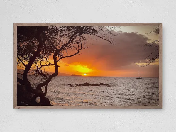 Ocean Sunset Art Print
