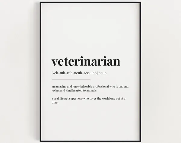 Vet Definition, Gift For Veterinarian Art Print