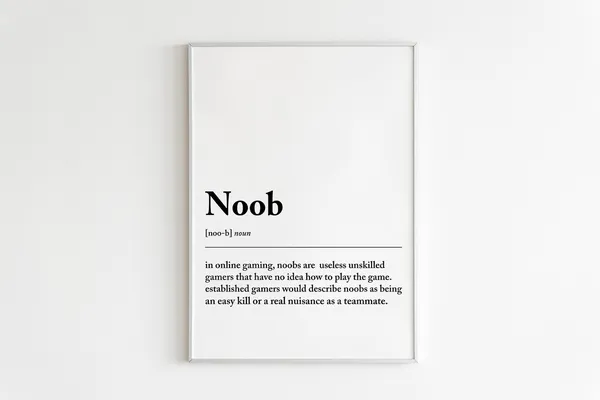Noob Definition Gaming Poster for Boys Bedroom