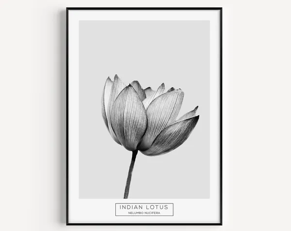 Botanical Flower Minimalist Art Print, Black White
