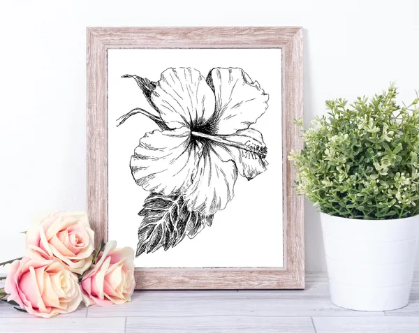 Black And White Hibiscus Botanical Art Print