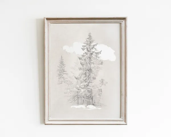 Vintage Tree Sketch Art Print, Antique Botanical Drawing