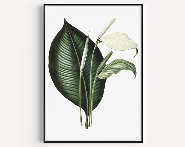 Lily Flower Minimalist Scandinavian Art Print