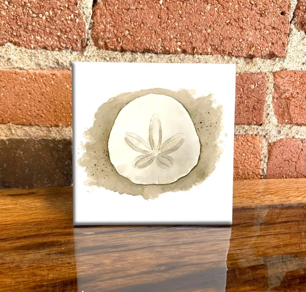 Sand Dollar Beach Lover Gift, Coastal Wall Art Print