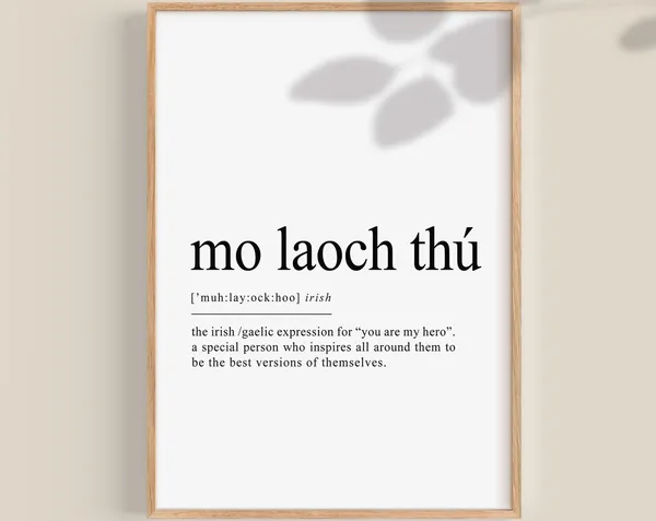 My Hero Irish Person Definition Art Print