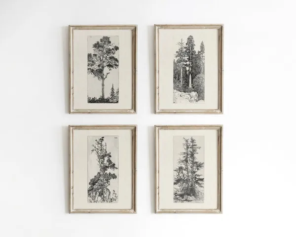 Vintage Botanical Tree Sketch, Forest Art Print