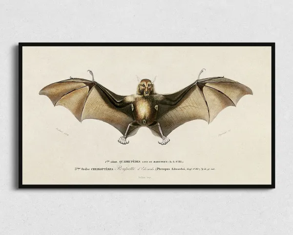 Halloween Bat Art Print, Spooky Frame TV Artwork