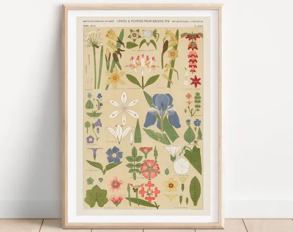 Vintage Leaves and Flowers Botanical Art Print