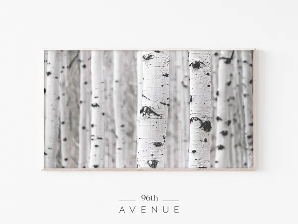 White Birch Trees Autumn Fall Nature Art Print