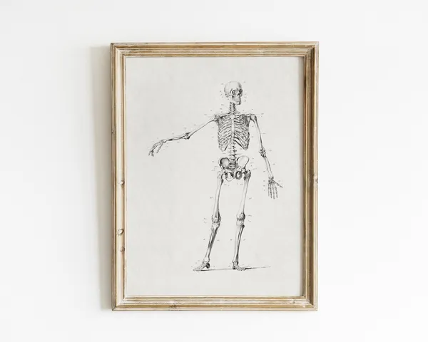 Vintage Halloween Skeleton Wall Art, Poster Print