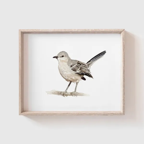 Mockingbird Watercolor Art Print, Bird Painting