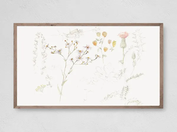 Instant Field Sketch Book Wall Art Print