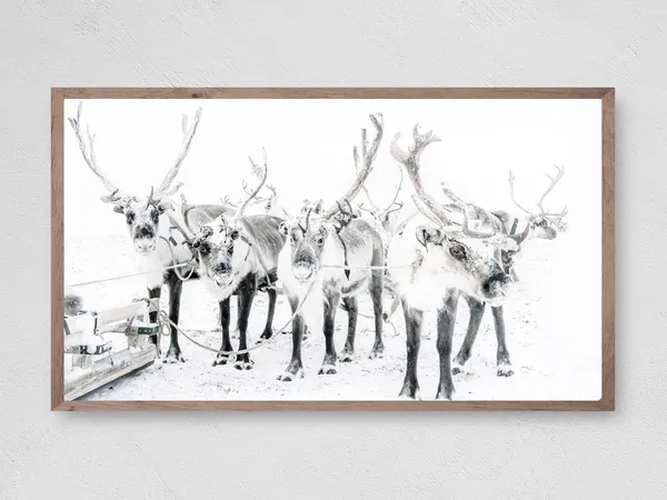 Reindeer Snow Group Frame TV Art, Winter Christmas