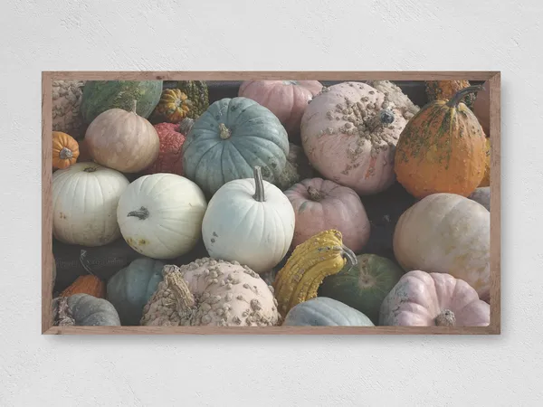 Pretty Pumpkins Art Print, Instant Fall Decor