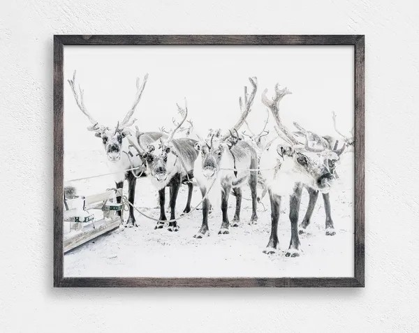 Reindeer In The Snow Christmas Wall Decor, Art Print
