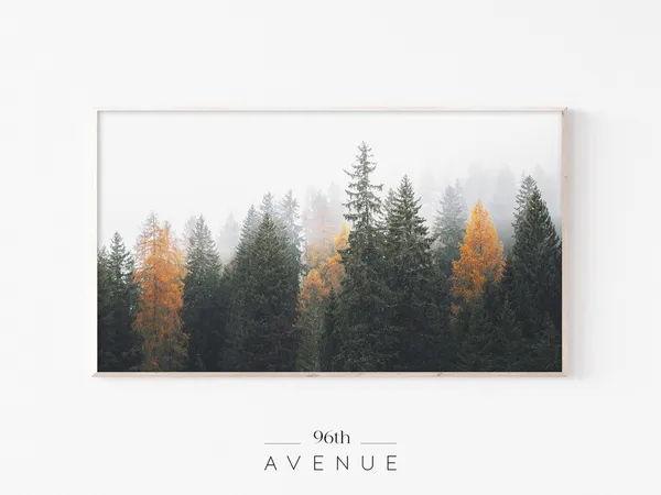 Foggy Forest Evergreen Trees Landscape Art Print