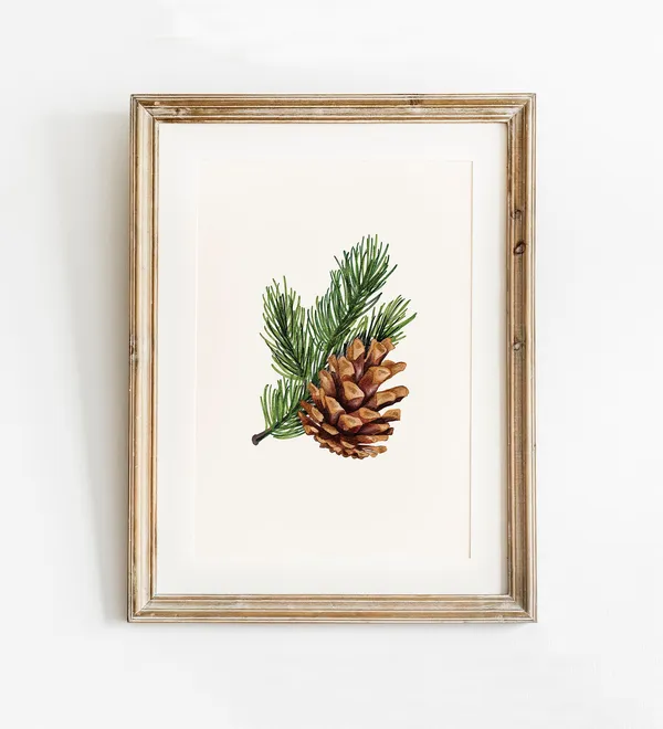 Botanical Winter Pinecone and Pine Tree Art Print