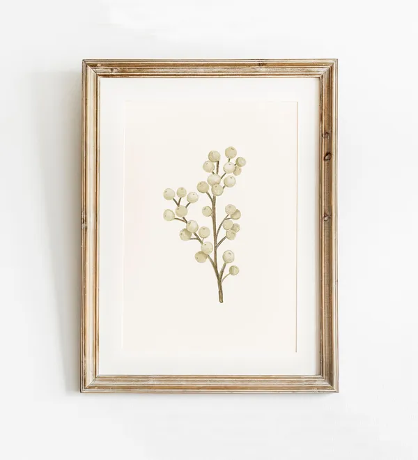 White Holly Berry Christmas Print, Neutral Winter Berries