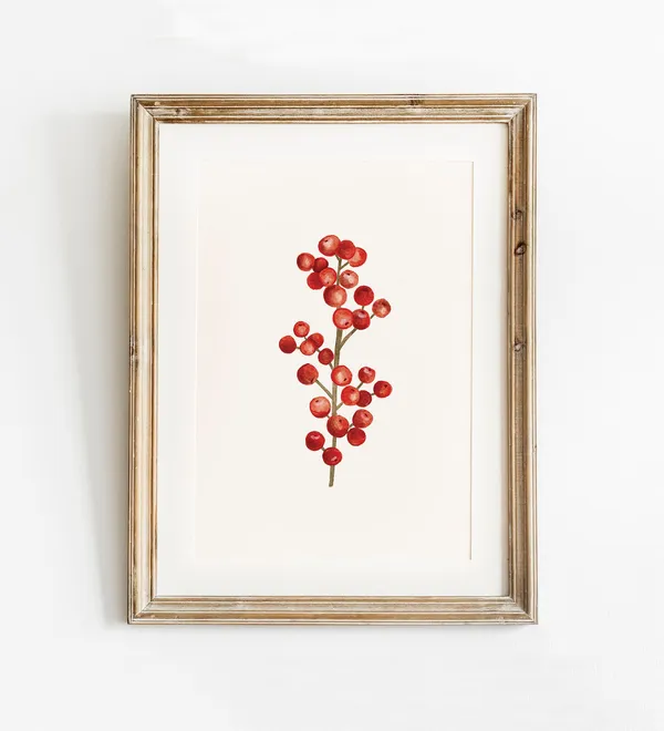 Red Holly Berry Christmas Art Print, Botanical Winter Decor