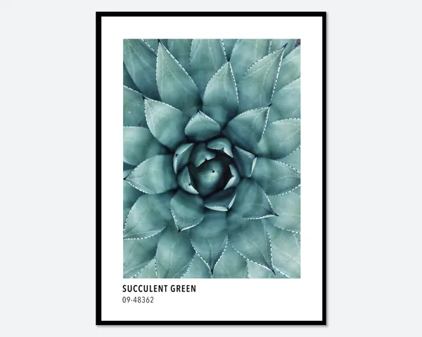 Succulent Green Botanical Art Print, Modern Poster