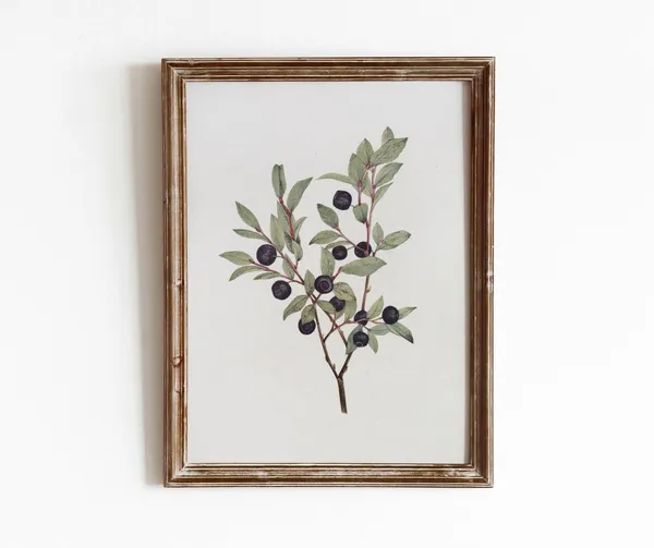 Huckleberry Sprig Vintage Botanical Watercolor Art Print