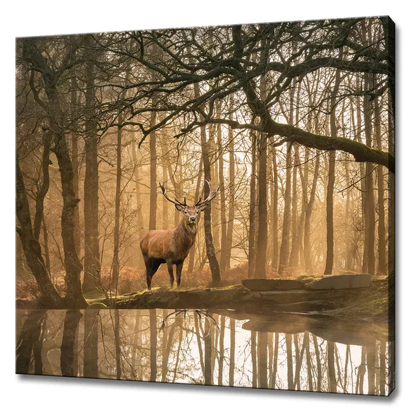 Red Deer Stag In The Autumn Forest, Modern Decor