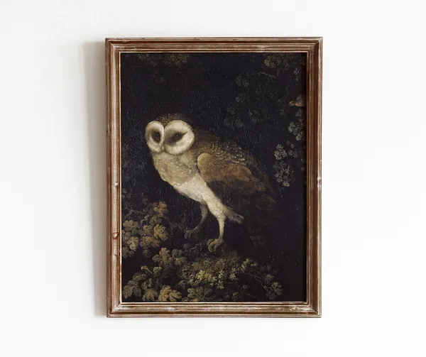 Night Owl Vintage Nocturnal Bird Art Print