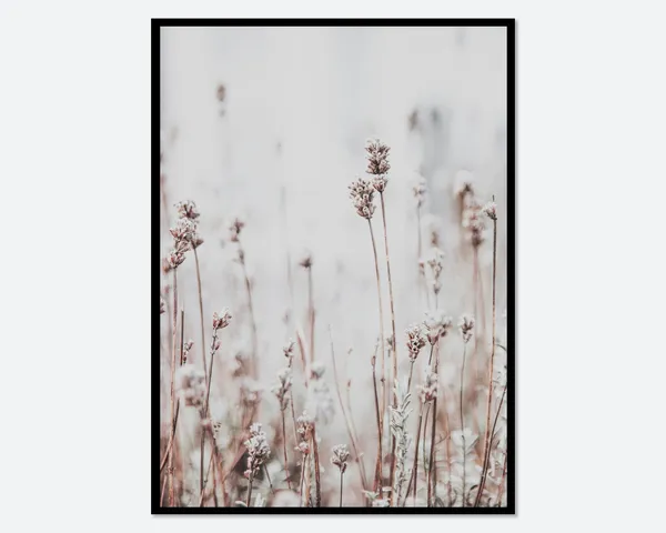 Reed Plant Photography Art Print, Botanical Farmhouse