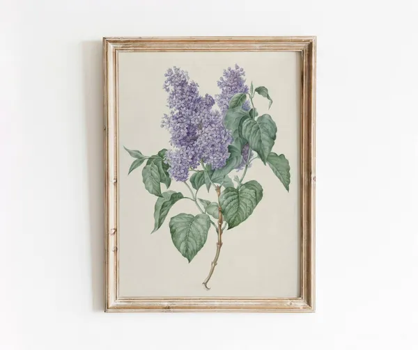 Lilacs Vintage Botanical Art Print, Purple Floral Still Life