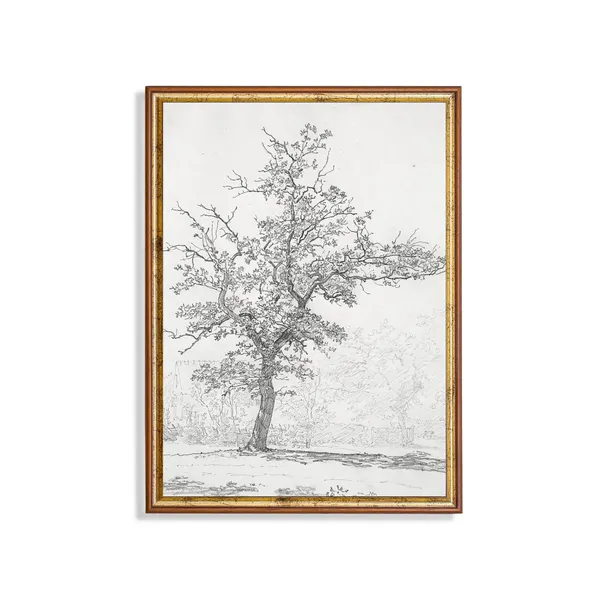 Vintage Tree Sketch Drawing, Neutral Farmhouse Art Print