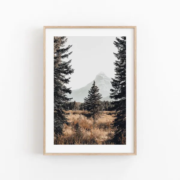 Nature Tree Photography, Modern Minimalist Poster