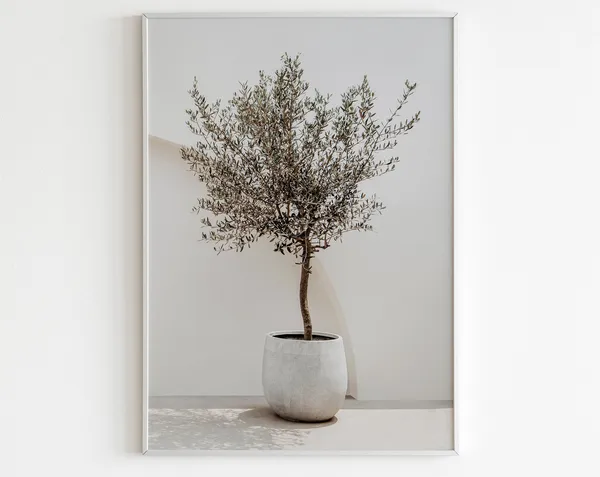 Olive Tree Greece and Italy Mediterranean Travel Poster